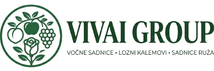 Vivai Group